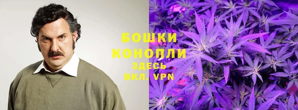 метамфетамин Белокуриха